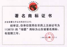 http://www.filmshout.com/2013/ShanDong/pho/rongyu/1136731.jpg